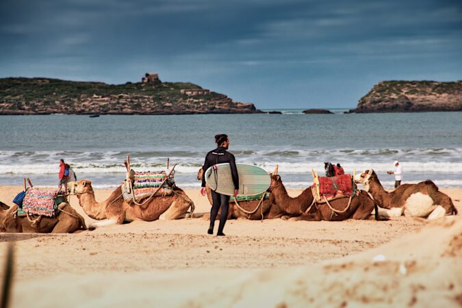 Camels on the Beach