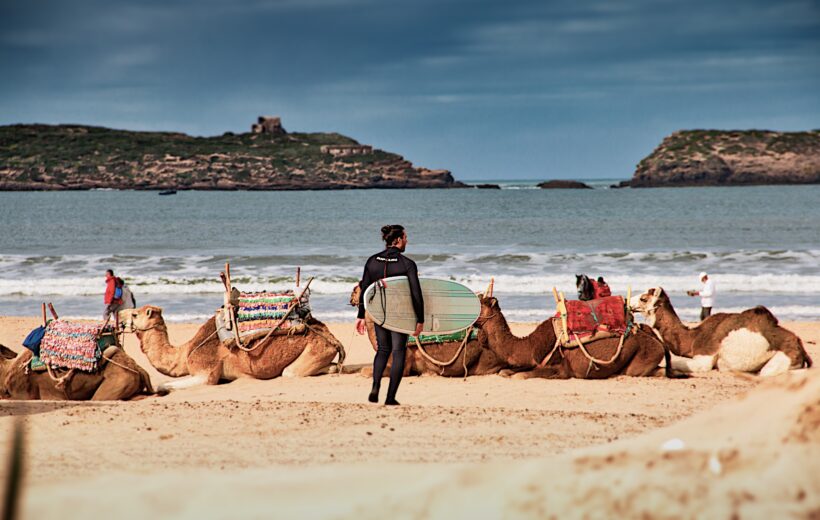 Moroccan Coastal Camel Tour