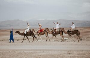 Camel Ride in Agafay Desert & Oasis